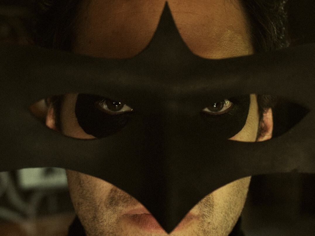 Sash profile Lapwing 1