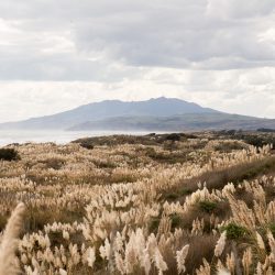 Ōtorohanga District, Waikato, New Zealand, Aotearoa, Film Locations, Kāwhia, Kaawhia, beach, harbour, coastline, Mount Karioi -38.066994, 174.780155