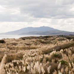 Ōtorohanga District, Waikato, New Zealand, Aotearoa, Film Locations, Kāwhia, Kaawhia, beach, harbour, coastline, Mount Karioi -38.066994, 174.780155