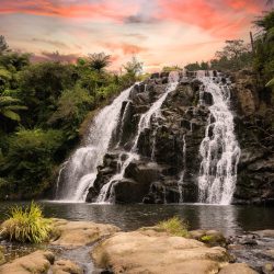 Owharoa Falls surrounded by lush greenery