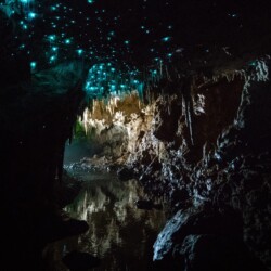 Subterranean cave with glow worms