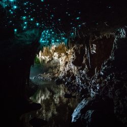 Subterranean cave with glow worms